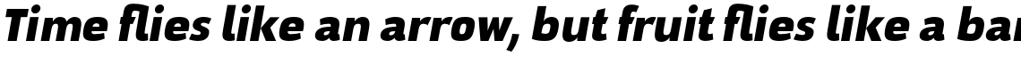 Docu ExtraBold + Oblique