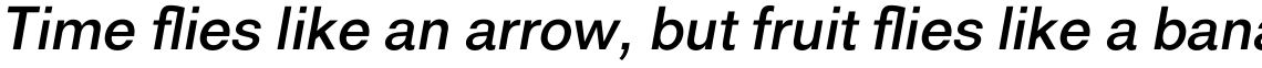 Royal Sans Roman Italic