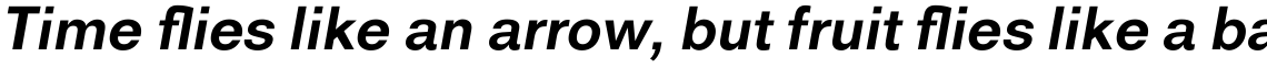 Royal Sans Bold Italic