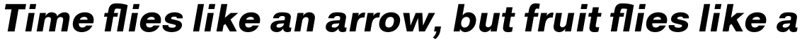 Royal Sans Black Italic