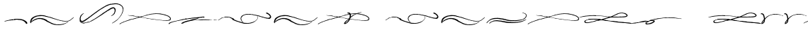 Prima Script Swashes