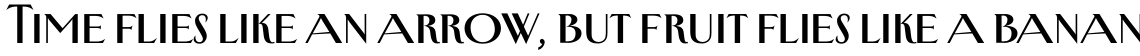 New Yorker Type Pro Regular