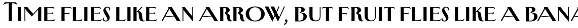 New Yorker Type Pro Medium
